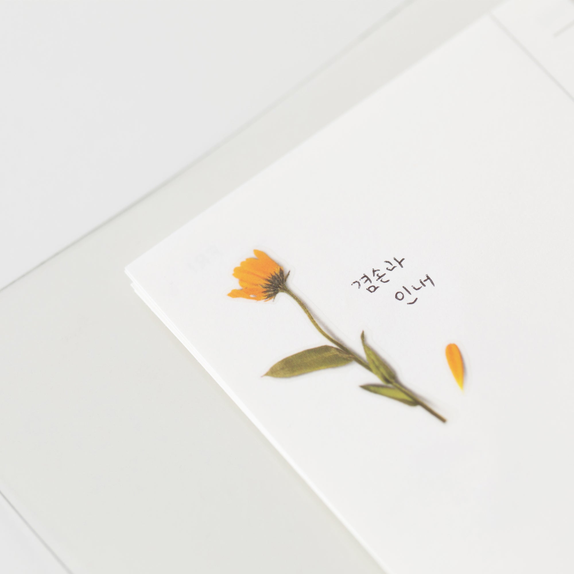 Appree - Pressed Flower Sticker - Calendula-Sticker-DutchMills