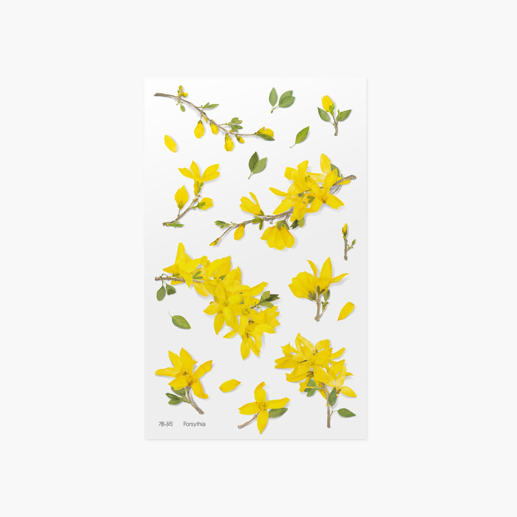 Appree Pressed Flower Sticker - Apple Blossom