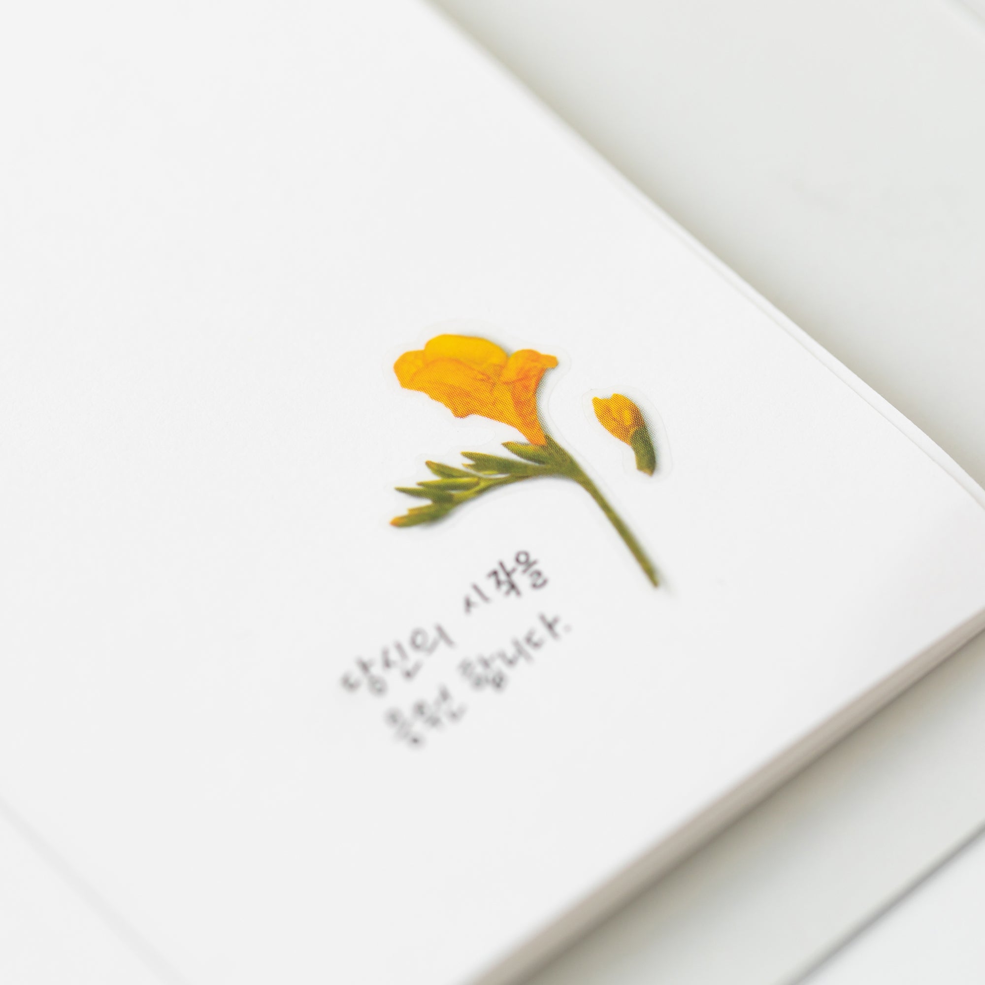 Appree - Pressed Flower Sticker - Freesia-Sticker-DutchMills