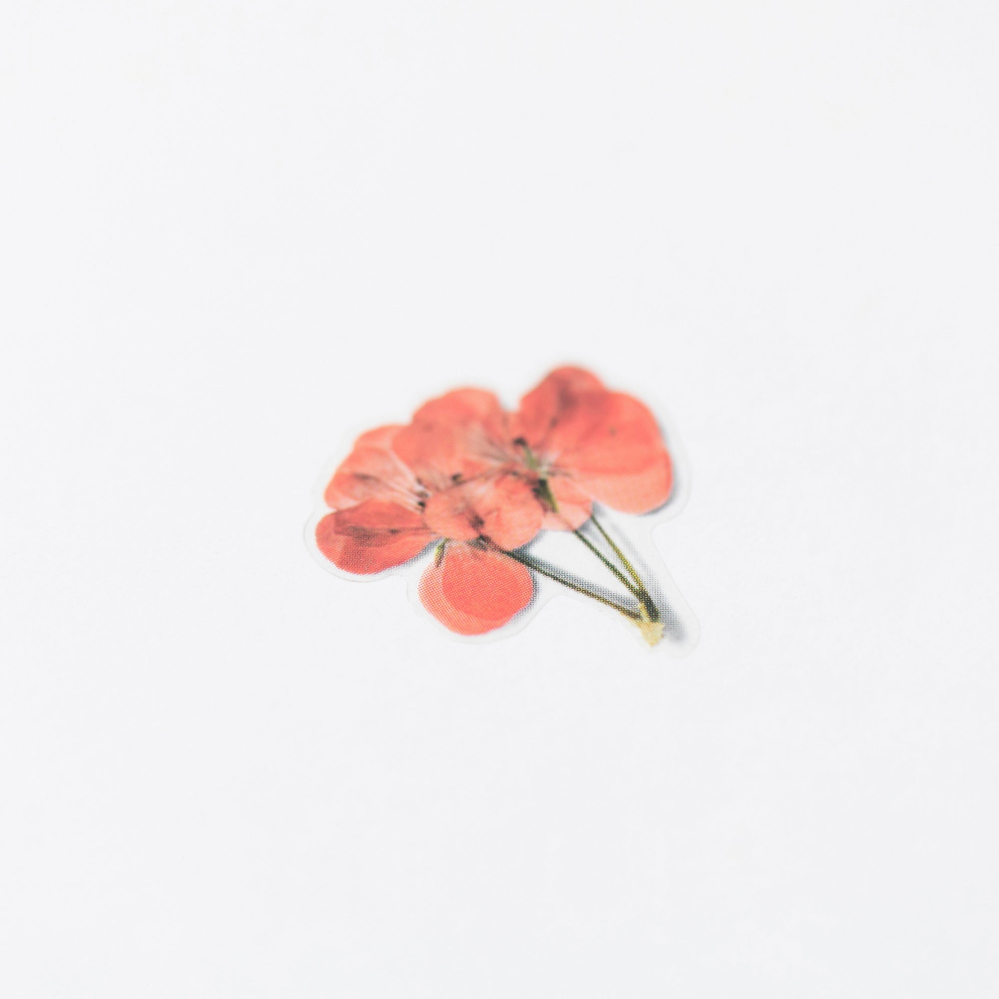 Appree - Pressed Flower Sticker - Geranium-Sticker-DutchMills