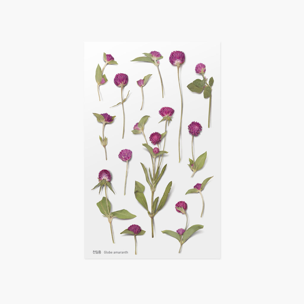 Appree Pressed Flower Sticker - Cosmos