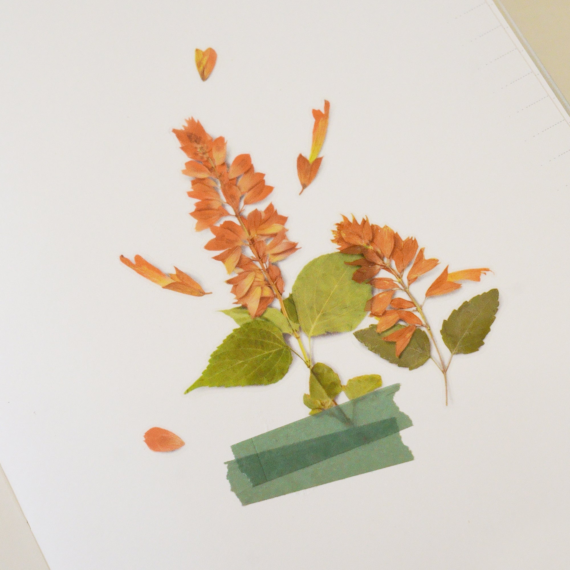 Appree - Pressed Flower Sticker - Salvia-Sticker-DutchMills